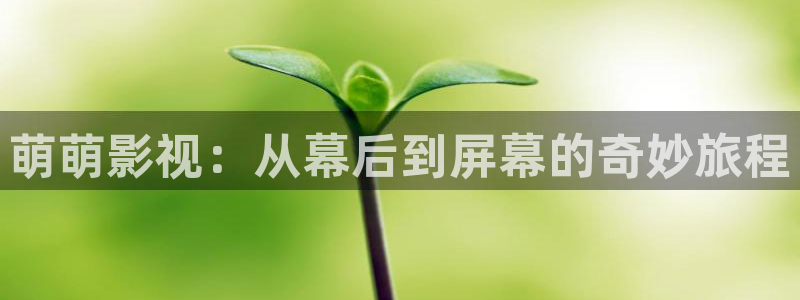 窝窝福利视频在线