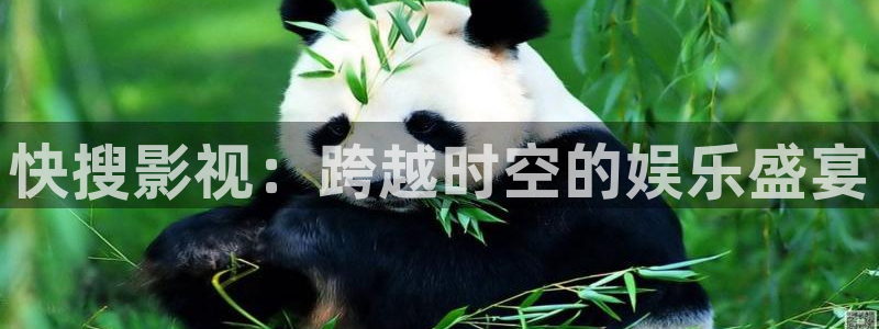 窝窝在线免费电影：快搜影视：跨越时空的娱乐盛宴