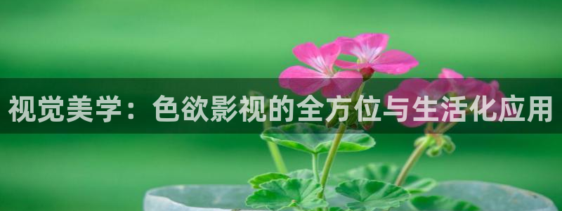 窝窝影院怎么免费看剧：视觉美学：色欲影视的全方位与生活化应用