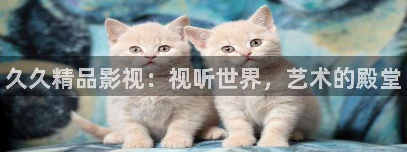 窝窝影院在线毛片