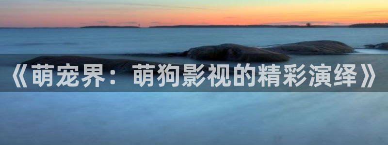 窝窝午夜精品影院