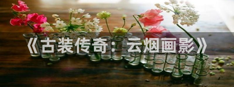 窝窝影院手机版